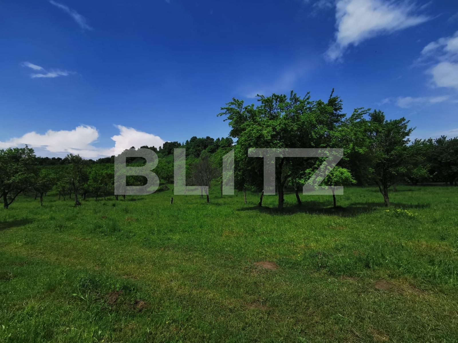 Teren de vânzare Periferie - 117422TV | BLITZ Bistriţa | Poza4