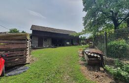 Casa 3 camere, 100mp, 1,62 Ha teren,  Arcalia