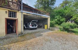 Casa 3 camere, 100mp, 1,62 Ha teren,  Arcalia