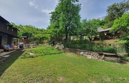 Casa 3 camere, 100mp, 1,62 Ha teren,  Arcalia