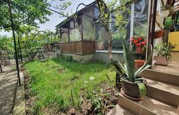 Casa 3 camere, 100mp, 1,62 Ha teren,  Arcalia