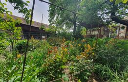 Casa 3 camere, 100mp, 1,62 Ha teren,  Arcalia