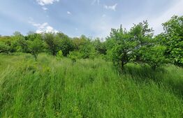 Casa 3 camere, 100mp, 1,62 Ha teren,  Arcalia