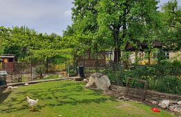 Casa 3 camere, 100mp, 1,62 Ha teren,  Arcalia