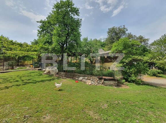 Casa de vânzare 3 camere Periferie - 117455CV | BLITZ Bistriţa | Poza5