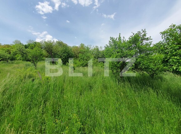 Casa de vânzare 3 camere Periferie - 117455CV | BLITZ Bistriţa | Poza13