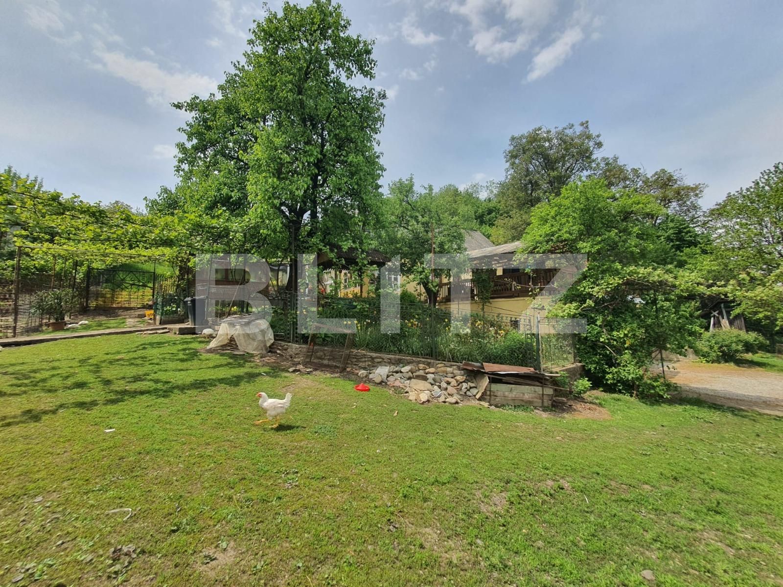 Casa de vânzare 3 camere Periferie - 117455CV | BLITZ Bistriţa | Poza4