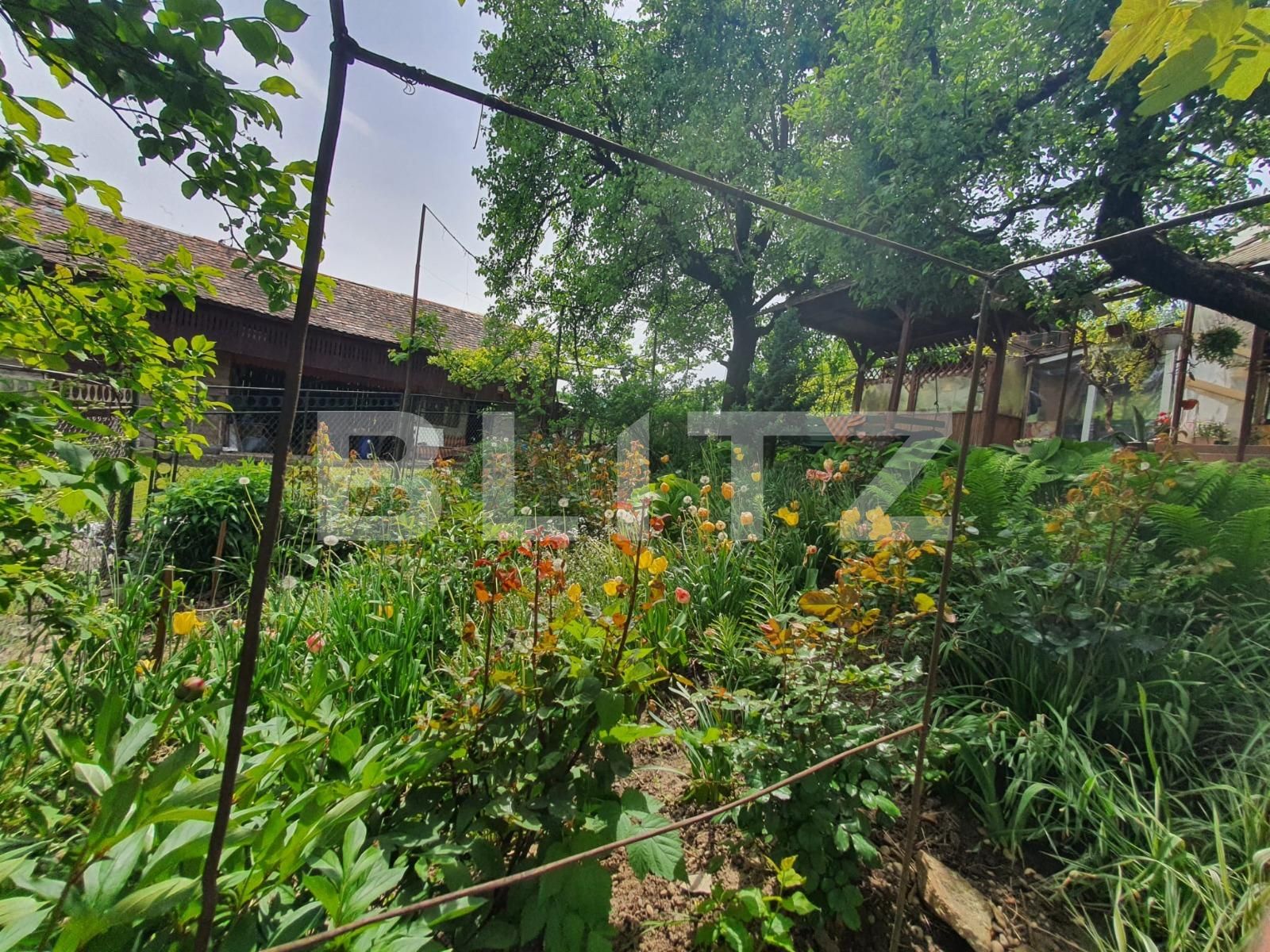 Casa de vânzare 3 camere Periferie - 117455CV | BLITZ Bistriţa | Poza6