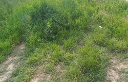 Teren intravilan , 1000mp, Unirea