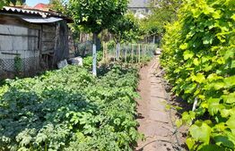 Apartament la casa cu gradina, 2 camere, 160 mp, zona Centrala