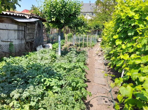 Apartament de vânzare 2 camere Central - 117790AV | BLITZ Bistriţa | Poza6