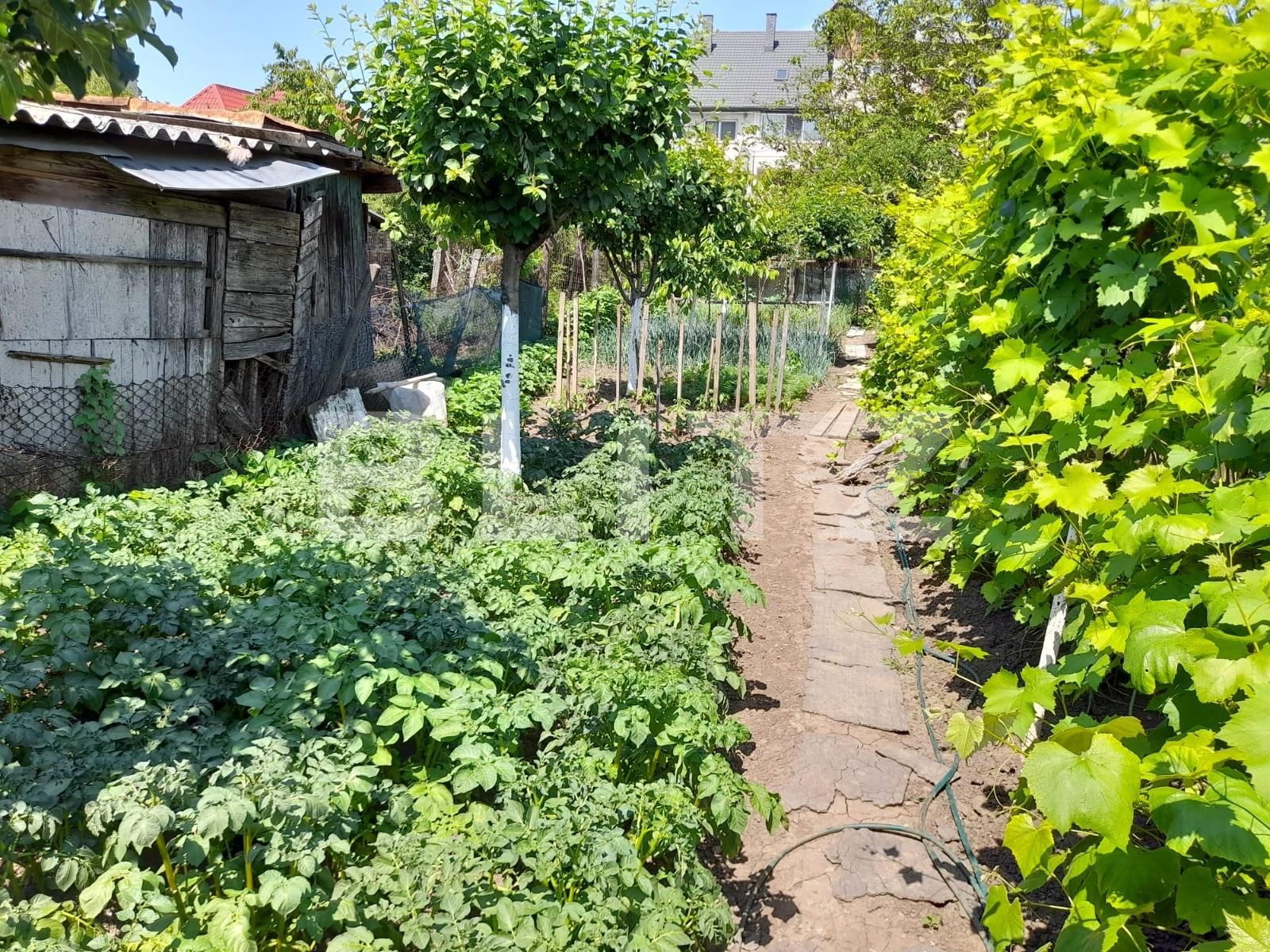 Apartament de vânzare 2 camere Central - 117790AV | BLITZ Bistriţa | Poza6