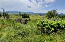 Casa 4 camere, 168mp, teren 2960 mp, Exterior Sud