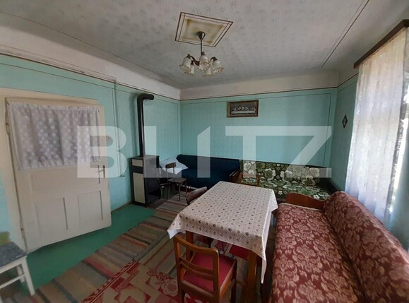 Casa de vânzare 4 camere Exterior Sud - 117901CV | BLITZ Bistriţa | Poza10