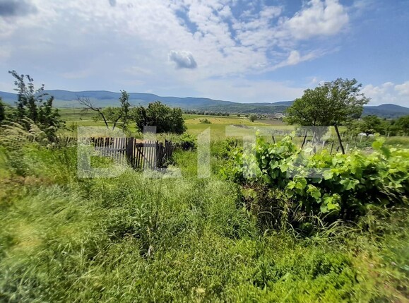 Casa de vânzare 4 camere Exterior Sud - 117901CV | BLITZ Bistriţa | Poza13