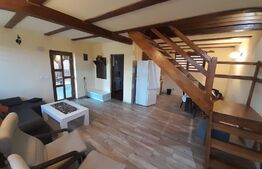 Cabana agrement, 3 camere, 100mp, Exterior Sud