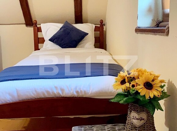 Casa de vânzare 3 camere Exterior Sud - 117913CV | BLITZ Bistriţa | Poza2