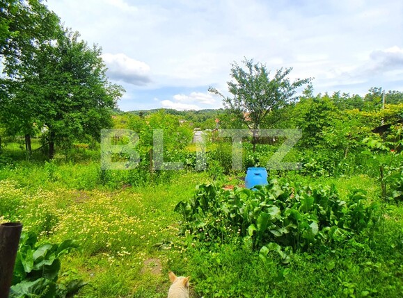 Casa de închiriat 5 camere Periferie - 118258CI | BLITZ Bistriţa | Poza8