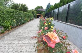 Casa cu o suprafata utila de 286mp, teren cu 582 mp, zona Libertatii