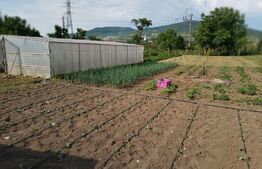 Casa 3 camere, 250mp, teren 2000mp, Sud Est