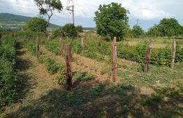 Casa 3 camere, 250mp, teren 2000mp, Sud Est