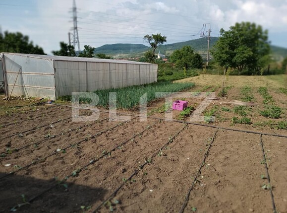 Casa de vânzare 3 camere Sud-Est - 118633CV | BLITZ Bistriţa | Poza6