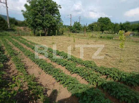 Casa de vânzare 3 camere Sud-Est - 118633CV | BLITZ Bistriţa | Poza14