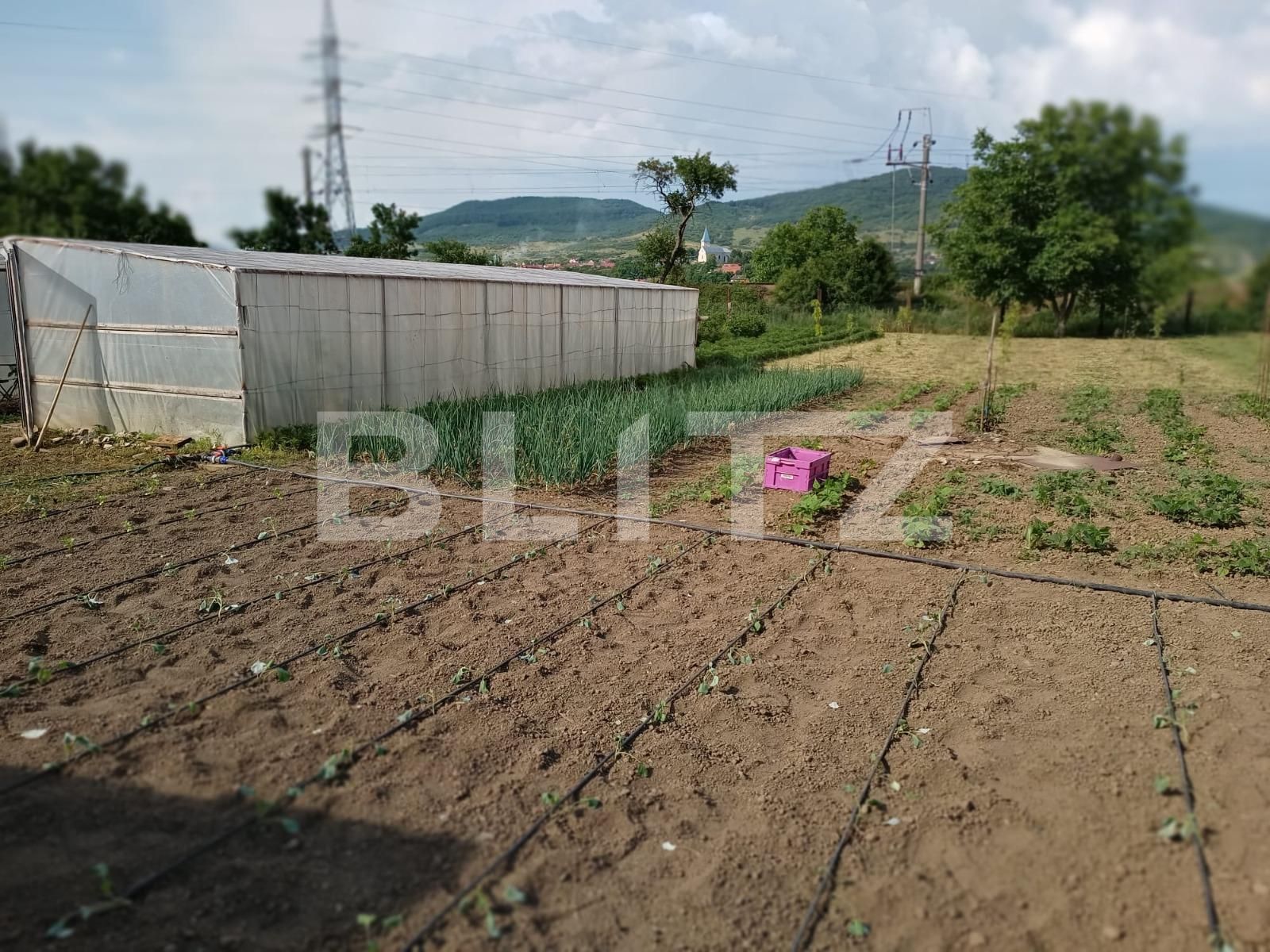 Casa de vânzare 3 camere Sud-Est - 118633CV | BLITZ Bistriţa | Poza6