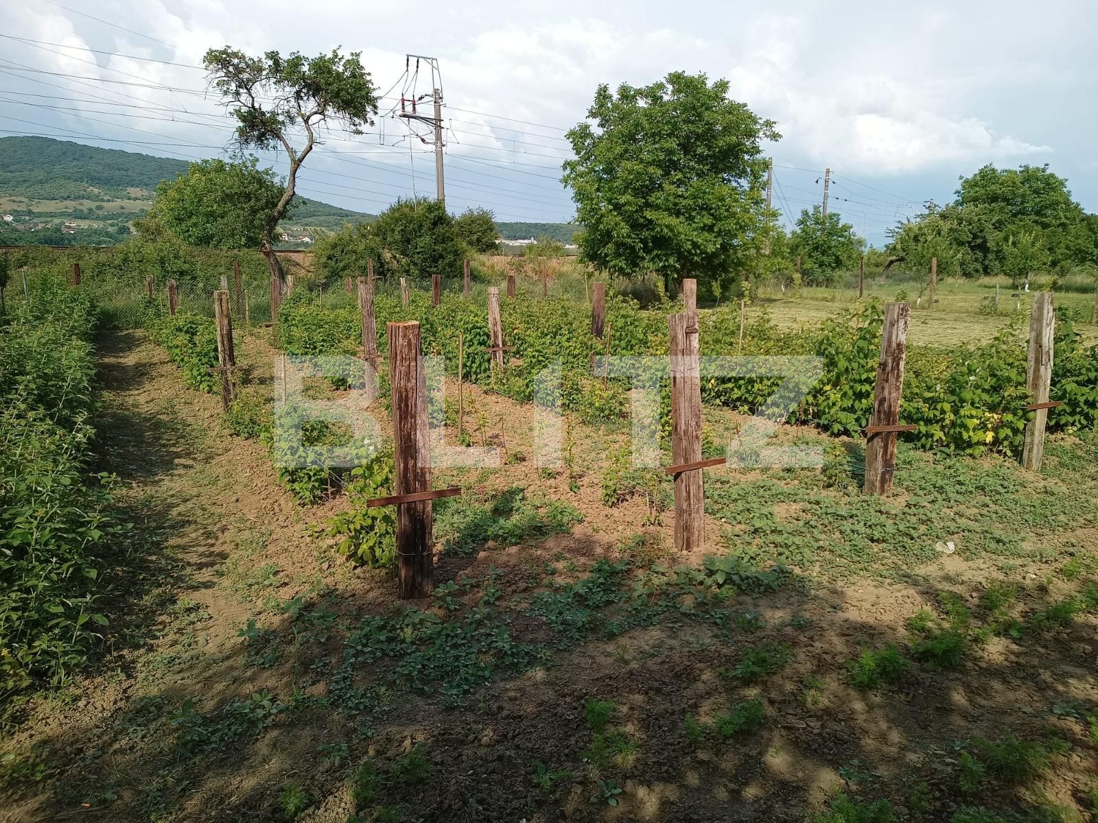 Casa de vânzare 3 camere Sud-Est - 118633CV | BLITZ Bistriţa | Poza13