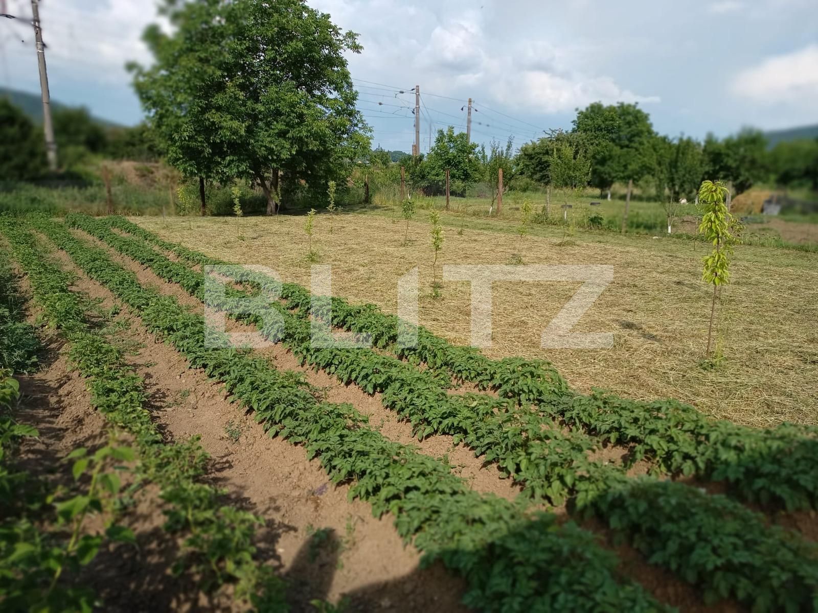 Casa de vânzare 3 camere Sud-Est - 118633CV | BLITZ Bistriţa | Poza14