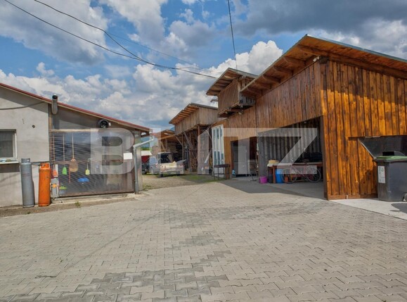 Casa de vânzare 15 camere Josenii Bargaului - 118681CV | BLITZ Bistriţa | Poza14