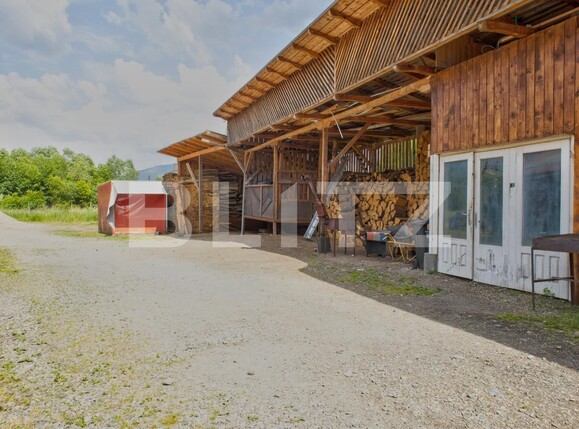Casa de vânzare 15 camere Josenii Bargaului - 118681CV | BLITZ Bistriţa | Poza18