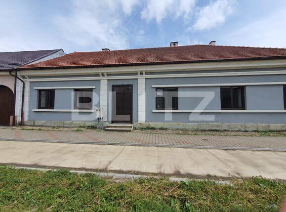Spațiu comercial de închiriat Unirea - 118985SIC | BLITZ Bistriţa | Poza1