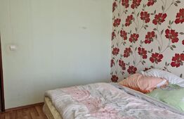 Apartament de 2 camere, 55mp, Exterior Vest