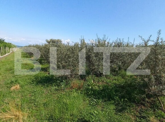 Teren de vânzare Exterior Vest - 119295TV | BLITZ Bistriţa | Poza3