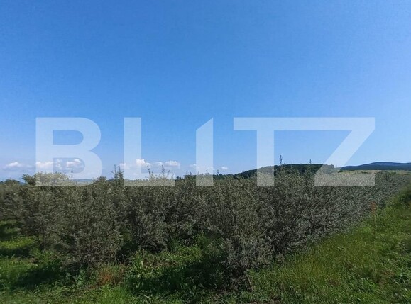 Teren de vânzare Exterior Vest - 119295TV | BLITZ Bistriţa | Poza1