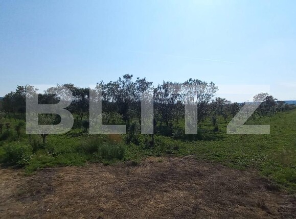 Teren de vânzare Exterior Vest - 119295TV | BLITZ Bistriţa | Poza5