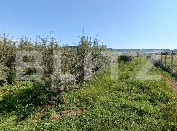 Teren de vânzare Exterior Vest - 119295TV | BLITZ Bistriţa | Poza2