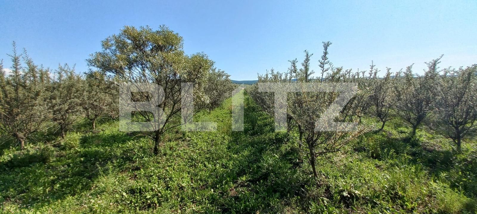 Teren de vânzare Exterior Vest - 119295TV | BLITZ Bistriţa | Poza4