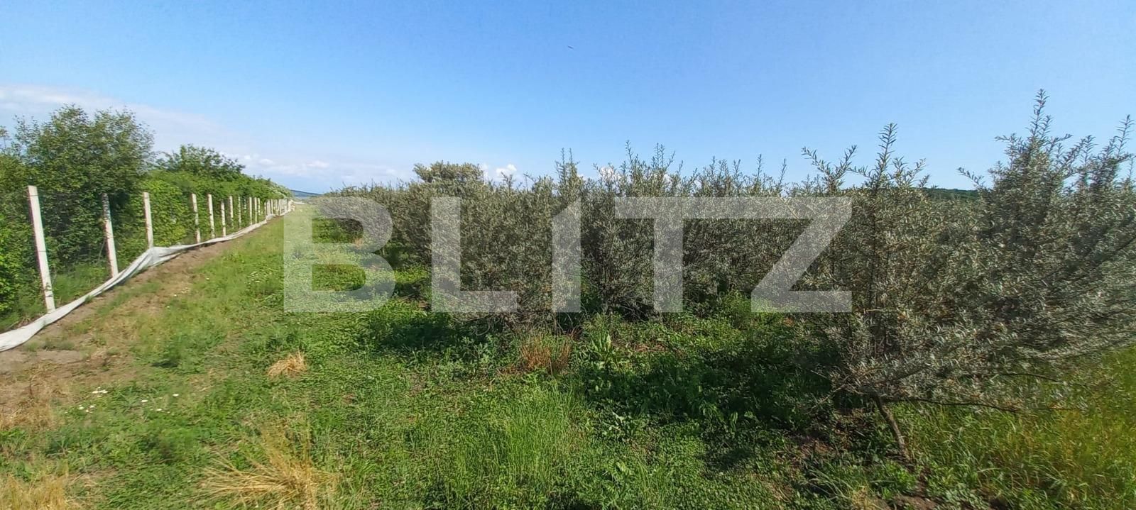 Teren de vânzare Exterior Vest - 119295TV | BLITZ Bistriţa | Poza3