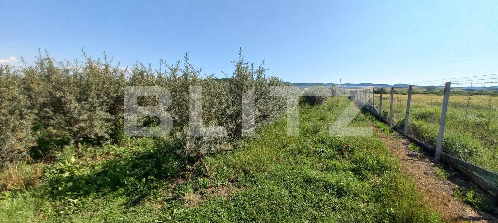 Teren de vânzare Exterior Vest - 119295TV | BLITZ Bistriţa | Poza2