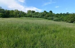 Teren intravilan, 9100mp, zona Crainimat