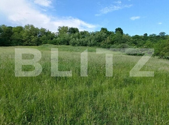 Teren de vânzare Exterior Sud - 119377TV | BLITZ Bistriţa | Poza1