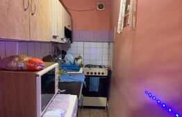 Apartament la casa, 2 camere, 53mp, Dornei