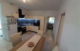 Casa individuala 3 camere, 240mp, pod mansardabil, teren 400mp, Central