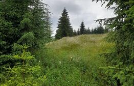 Teren 1400mp, Colibita