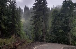 Teren 1400mp, Colibita