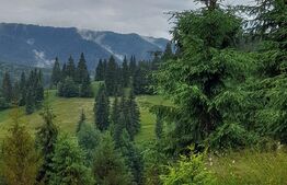 Teren 1400mp, Colibita