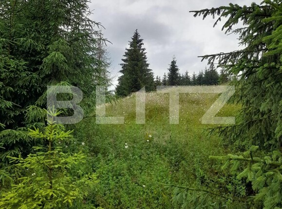 Teren de vânzare Colibiţa - 120673TV | BLITZ Bistriţa | Poza7