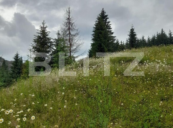 Teren de vânzare Colibiţa - 120673TV | BLITZ Bistriţa | Poza4